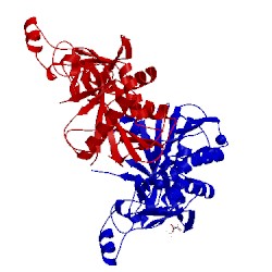 Image of CATH 5l6z