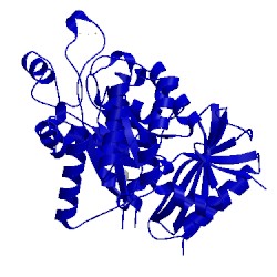 Image of CATH 5l7l