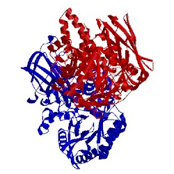 Image of CATH 5l7r