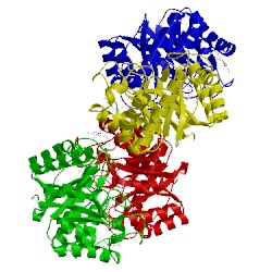 Image of CATH 5l9c
