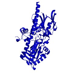 Image of CATH 5lae