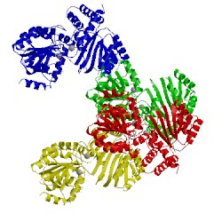 Image of CATH 5lba