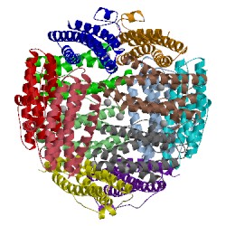 Image of CATH 5lbh