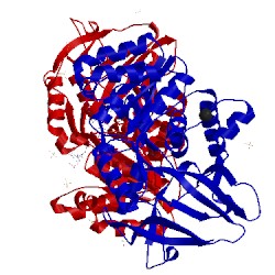 Image of CATH 5lbx