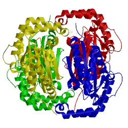 Image of CATH 5lc9