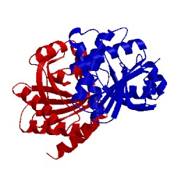 Image of CATH 5lcc