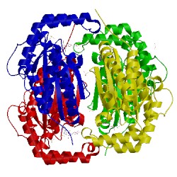 Image of CATH 5lcd