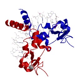 Image of CATH 5lcl