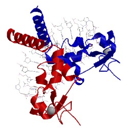 Image of CATH 5lcm