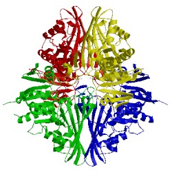 Image of CATH 5ld5