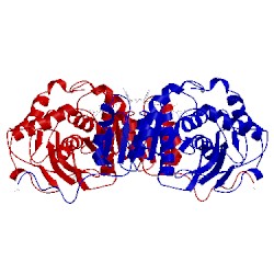 Image of CATH 5ldh