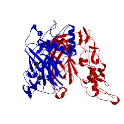 Image of CATH 5lf2