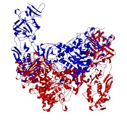 Image of CATH 5lfc