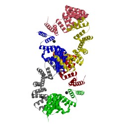 Image of CATH 5lfl