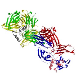 Image of CATH 5lgk