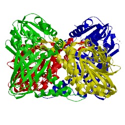 Image of CATH 5lgq