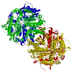 Image of CATH 5lha
