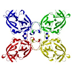 Image of CATH 5lhs