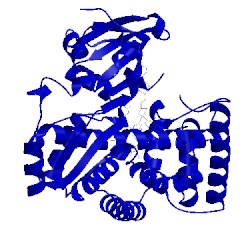 Image of CATH 5li8