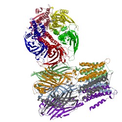 Image of CATH 5lid