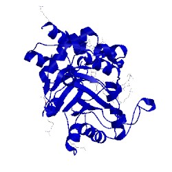 Image of CATH 5liy