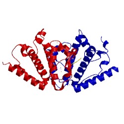 Image of CATH 5ljn