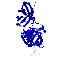 Image of CATH 5ljx