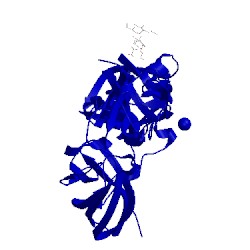 Image of CATH 5lk0
