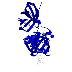 Image of CATH 5lk2