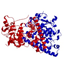 Image of CATH 5lkb