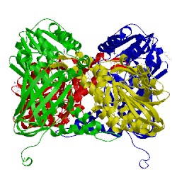 Image of CATH 5lkj