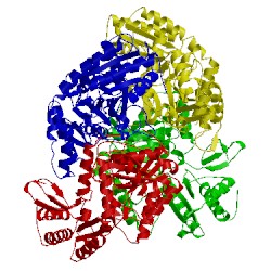 Image of CATH 5ll2