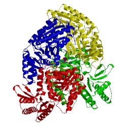 Image of CATH 5ll3