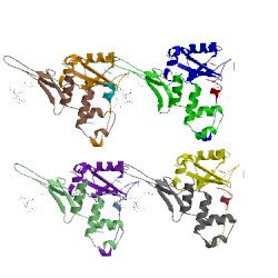 Image of CATH 5lli