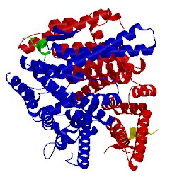 Image of CATH 5lm5