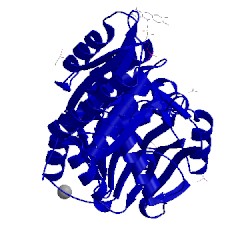 Image of CATH 5lmc