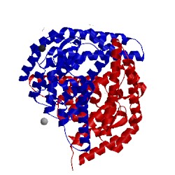 Image of CATH 5lmf