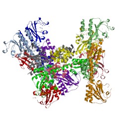 Image of CATH 5lnh