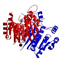 Image of CATH 5log