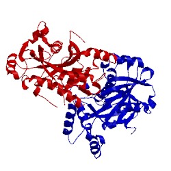 Image of CATH 5lor