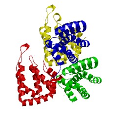 Image of CATH 5lp0