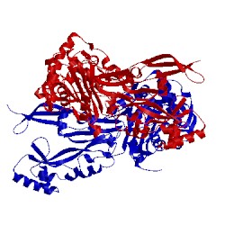 Image of CATH 5lp5