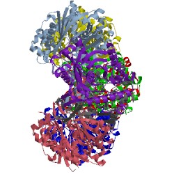 Image of CATH 5lp7