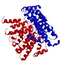 Image of CATH 5lph
