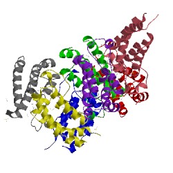 Image of CATH 5lpk
