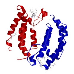 Image of CATH 5lpm