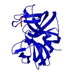 Image of CATH 5lpr