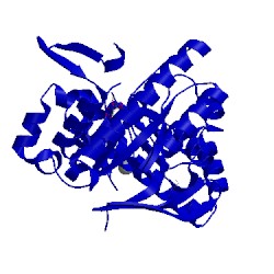 Image of CATH 5lps