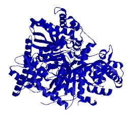 Image of CATH 5lrf