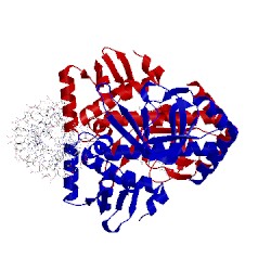 Image of CATH 5lrs